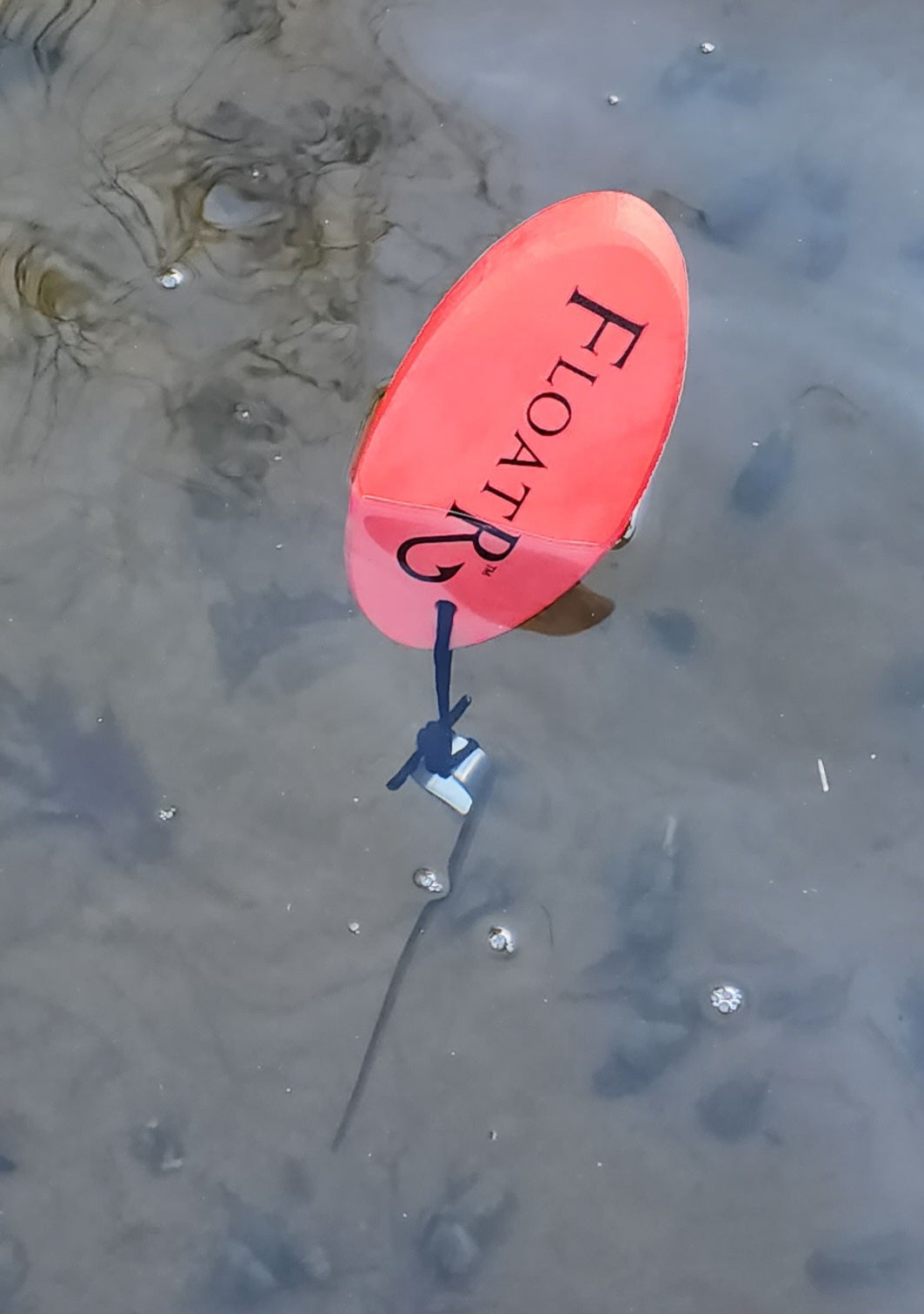 big hook to remove fish unHookR® HOSS